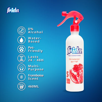 Frida Air Freshener - Framboise-460ml